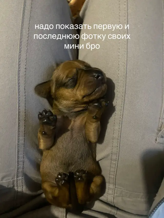 да много знаю
