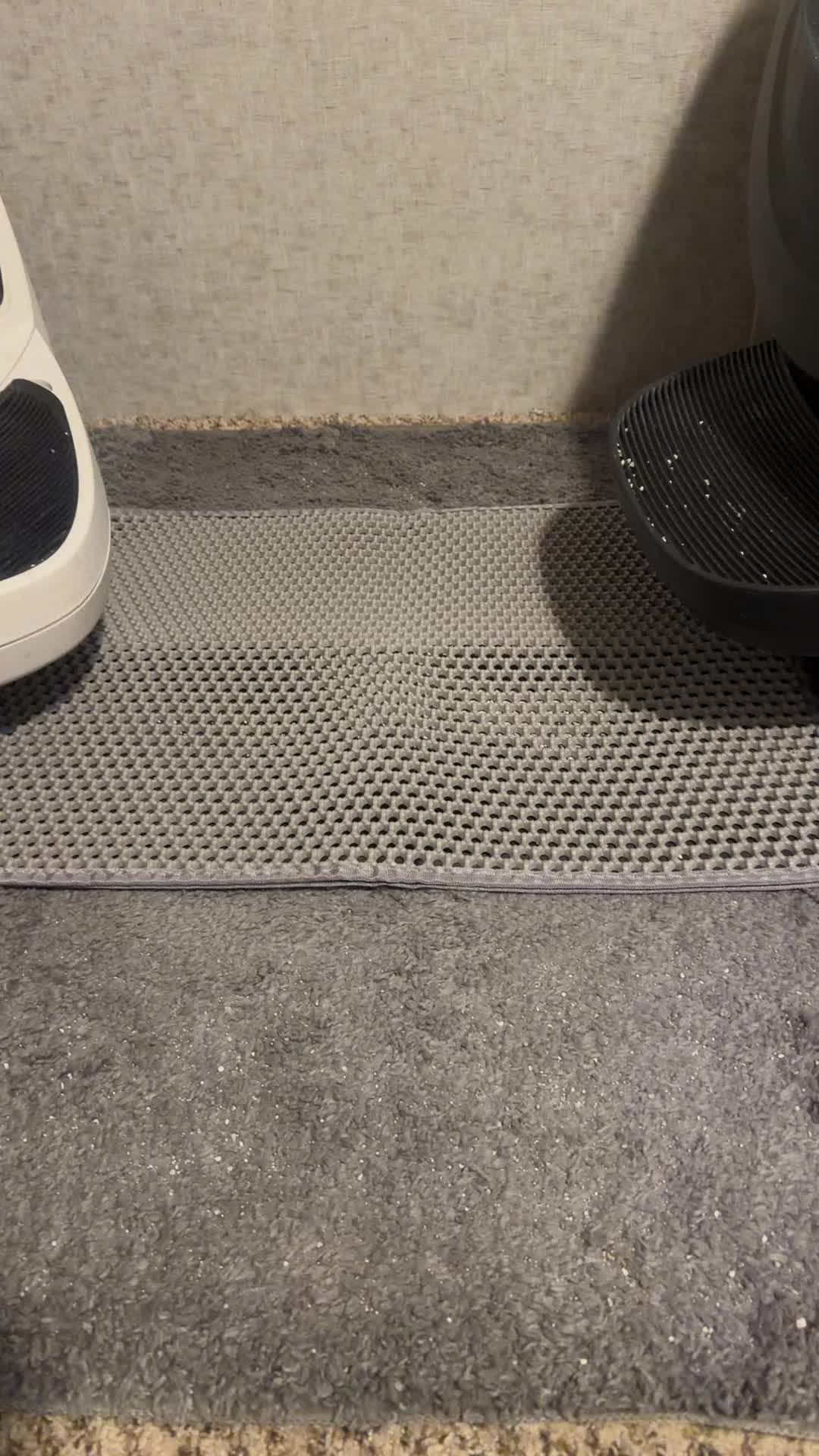 Cat litter mat so easy to use easy to clean free shipping right now that’s a no-brainer guys grab one