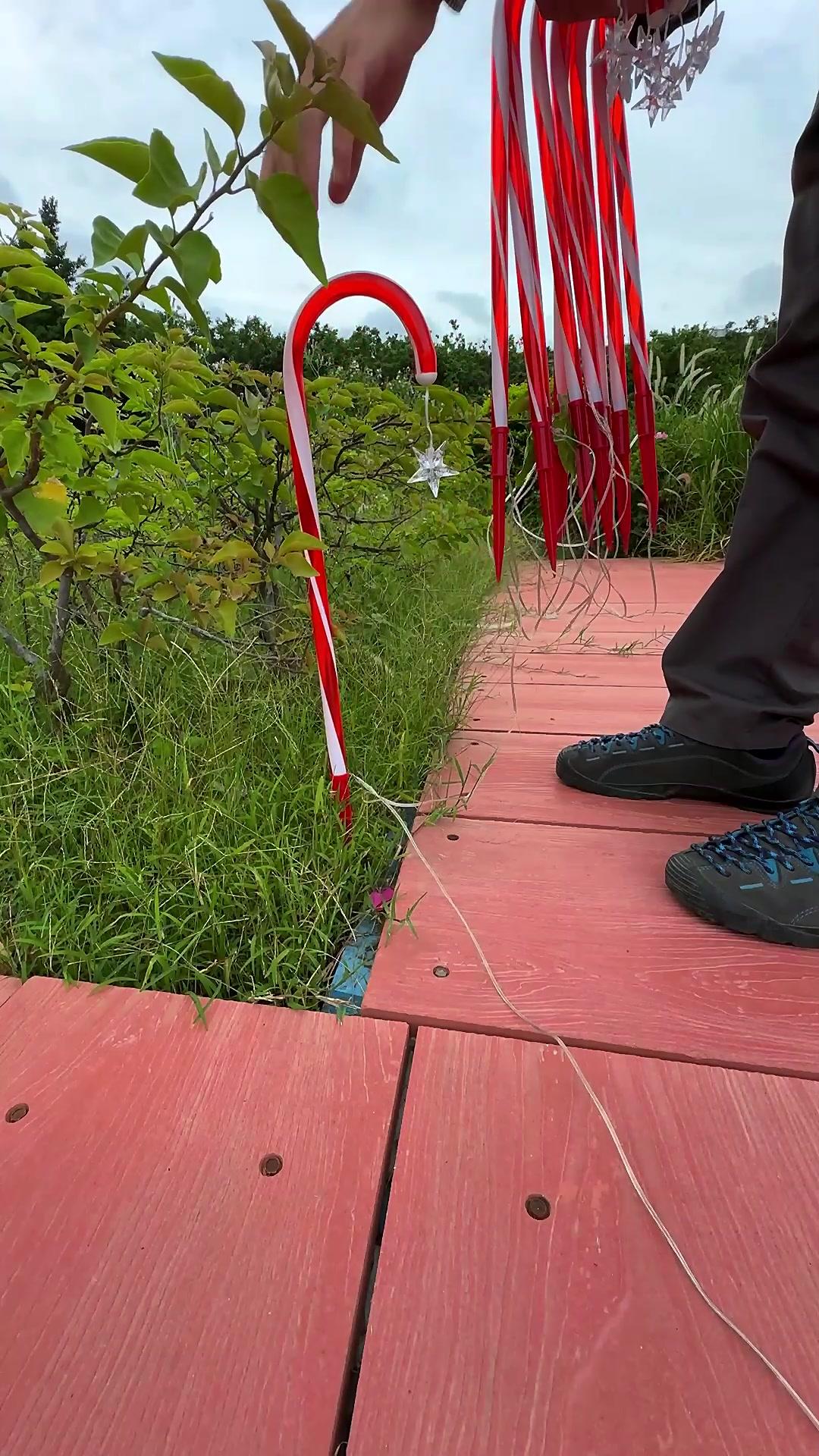 #SolarLights Light up your walkway with Christmas magic.