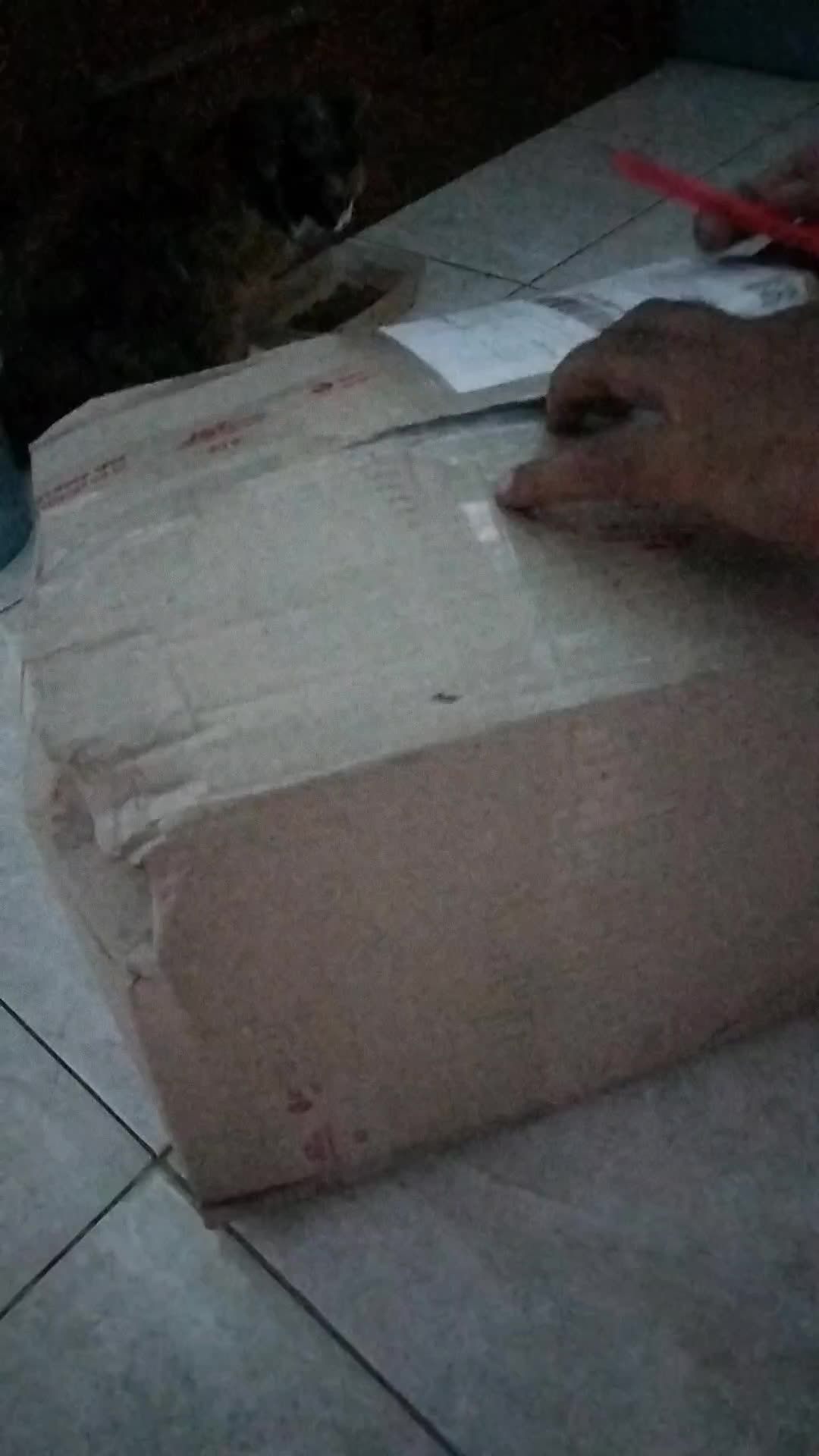 review image 4