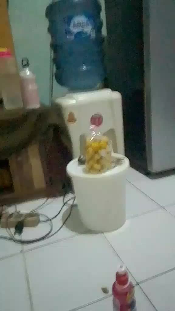 review image 6
