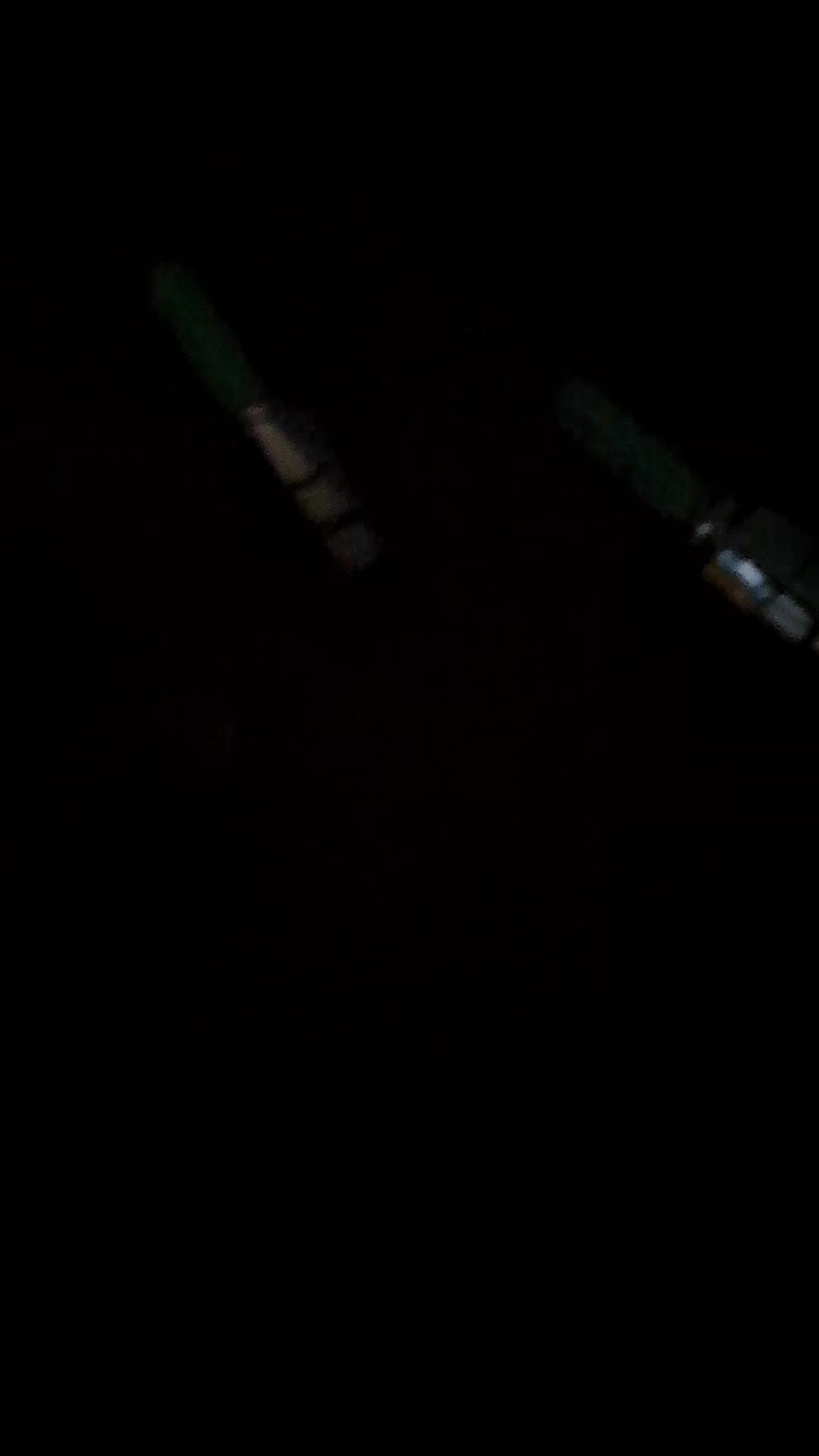 review image 11