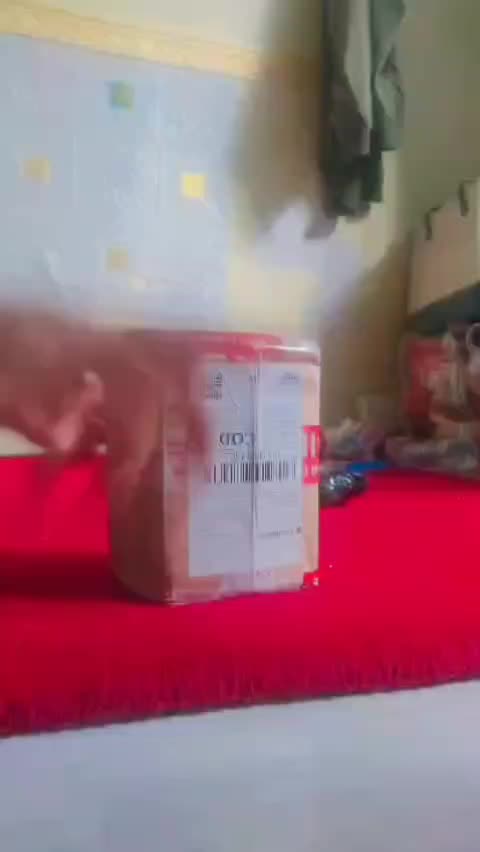 review image 0