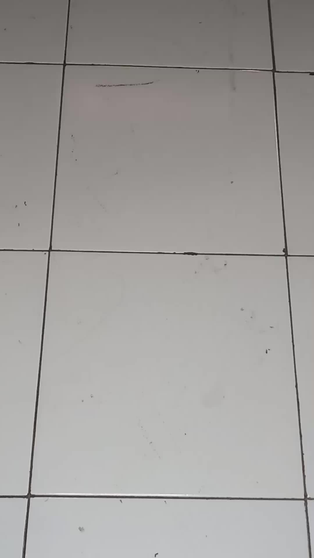review image 4