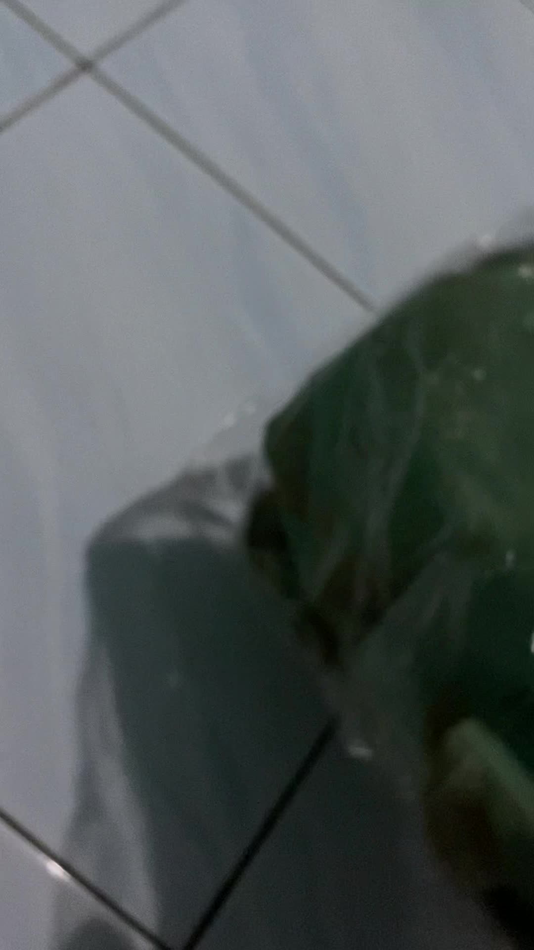 review image 5