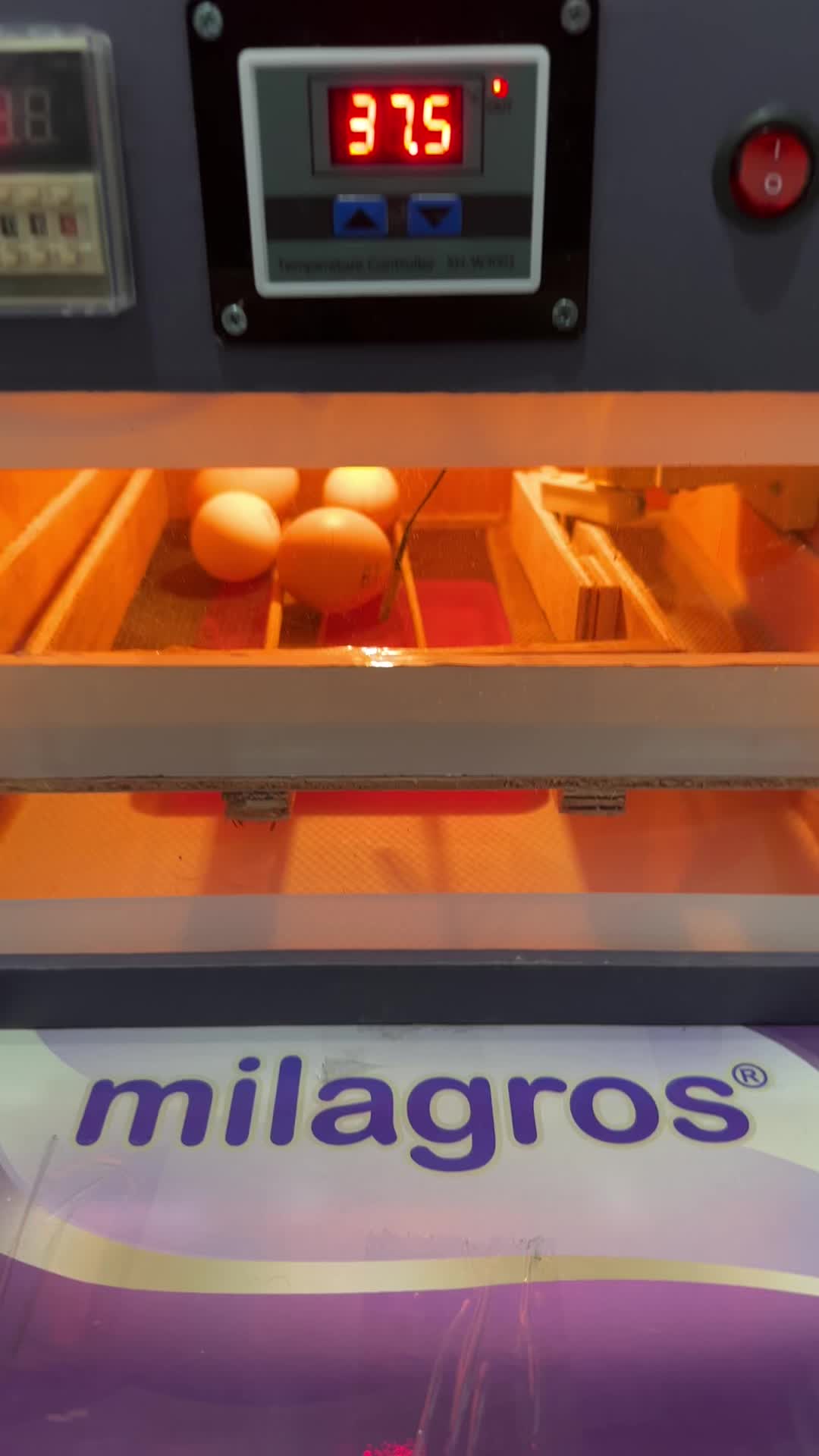 review image 7