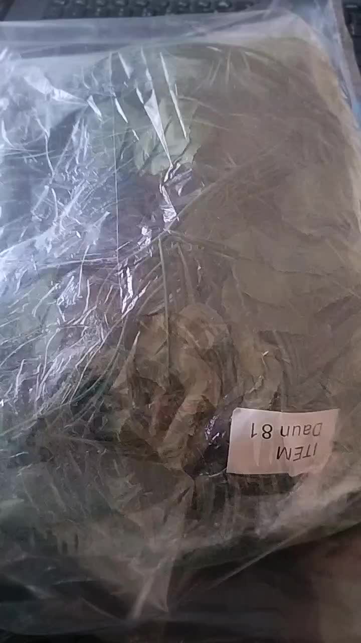 review image 8