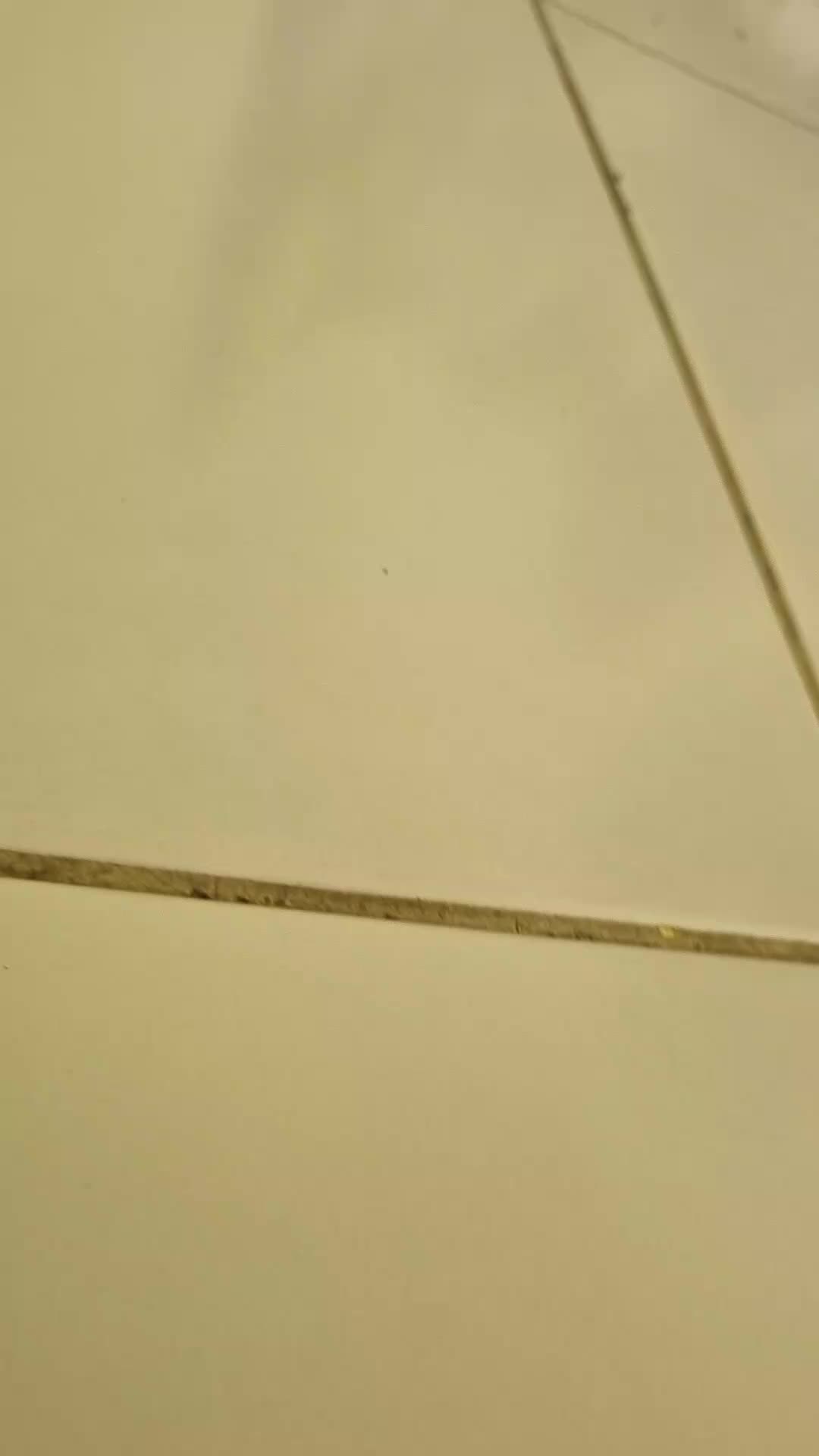 review image 2