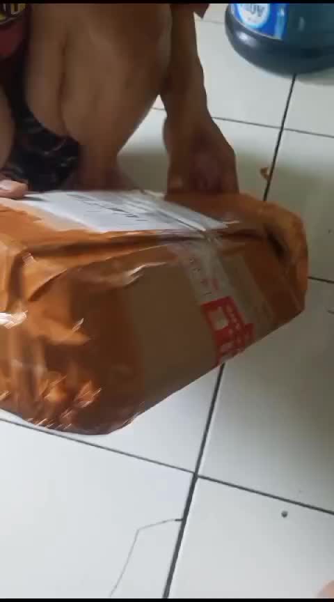 review image 0
