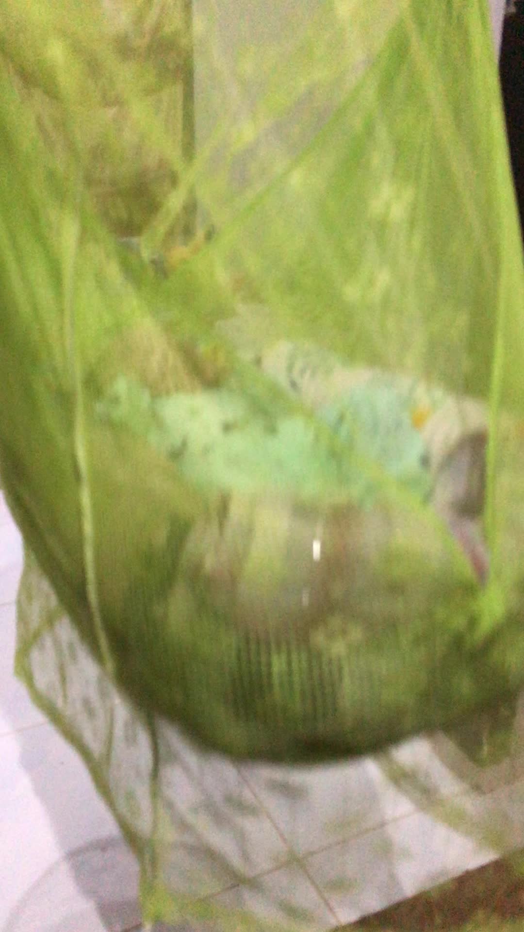 review image 13