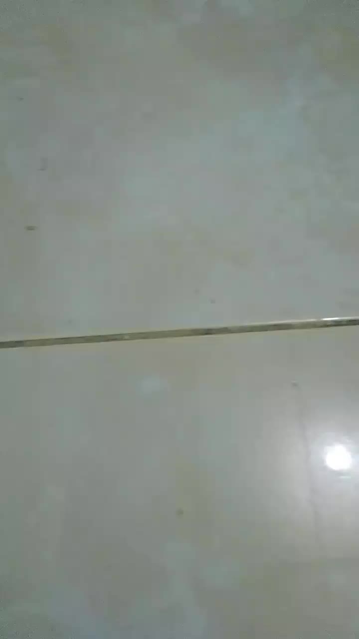 review image 3