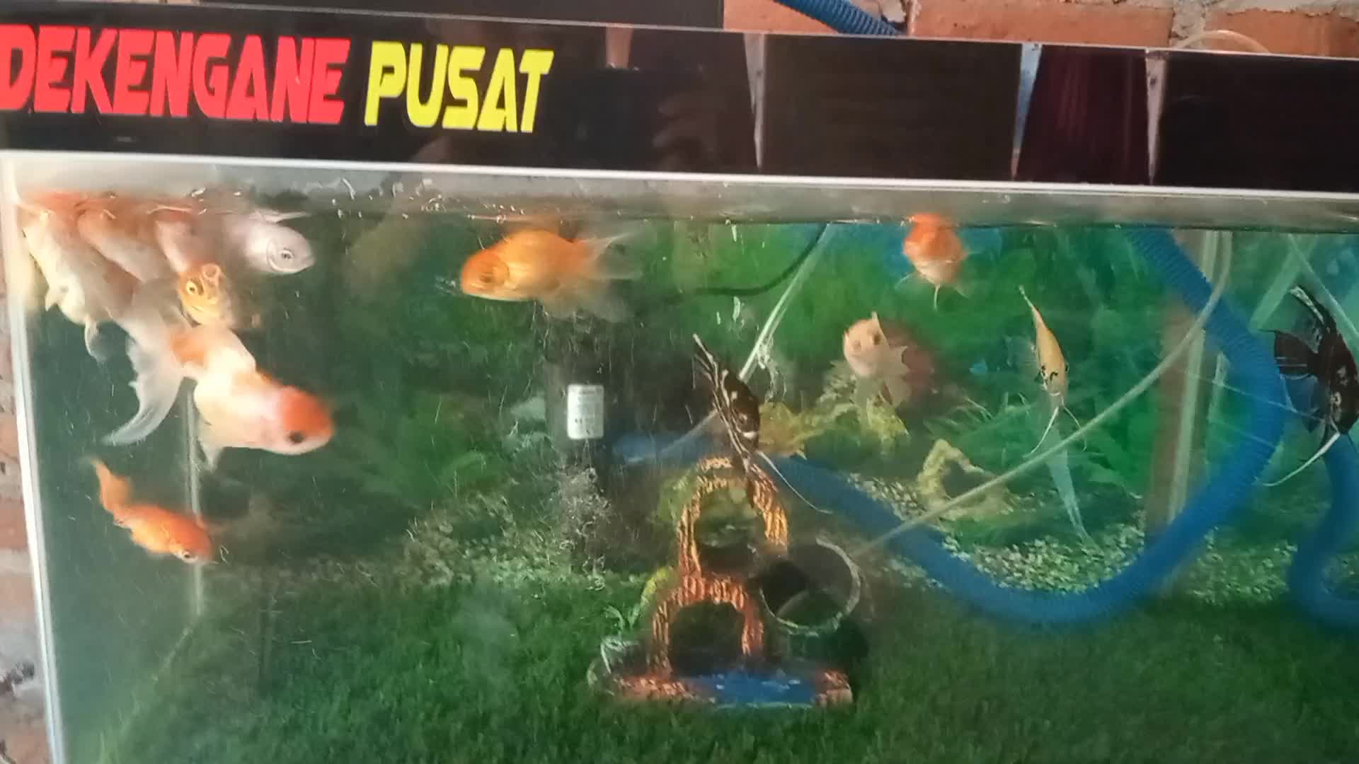 review image 7