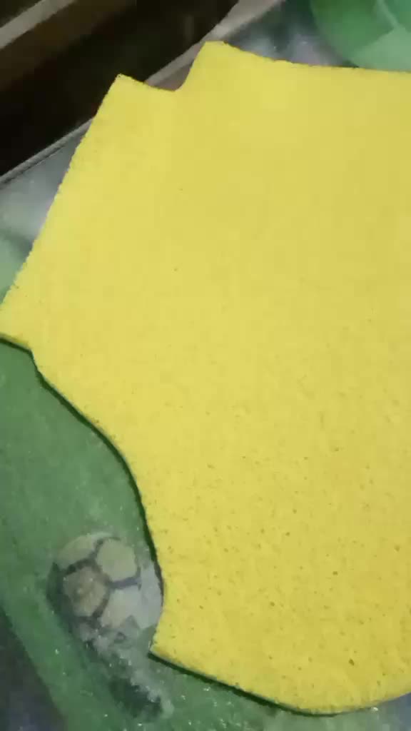 review image 3