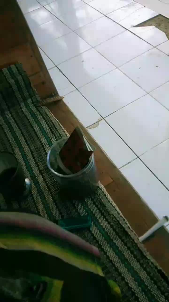 review image 4