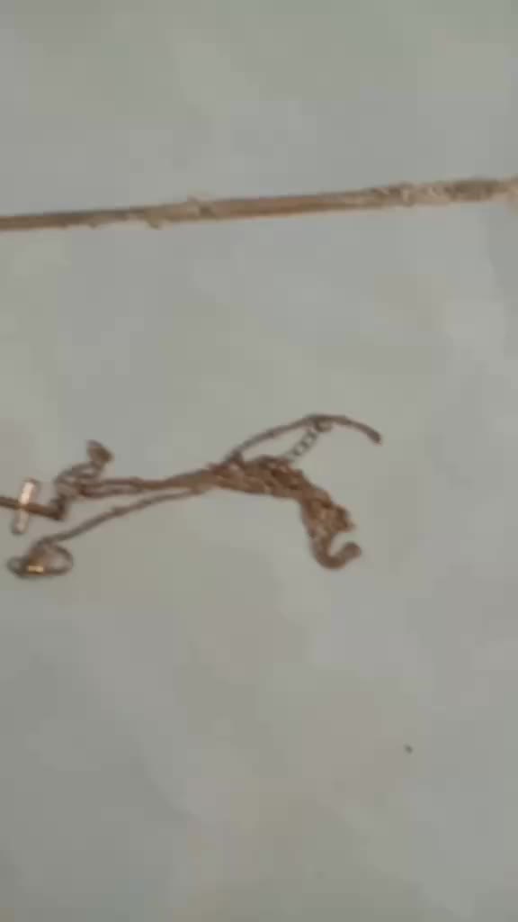 review image 2