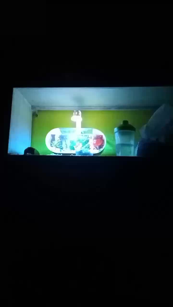 review image 4