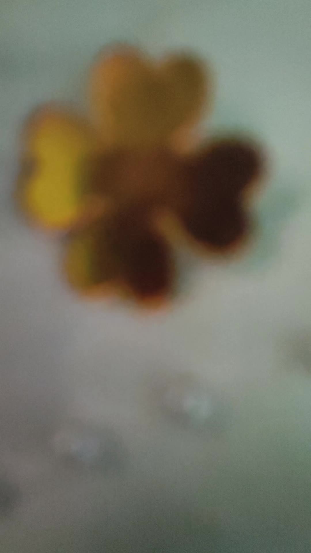 review image 6