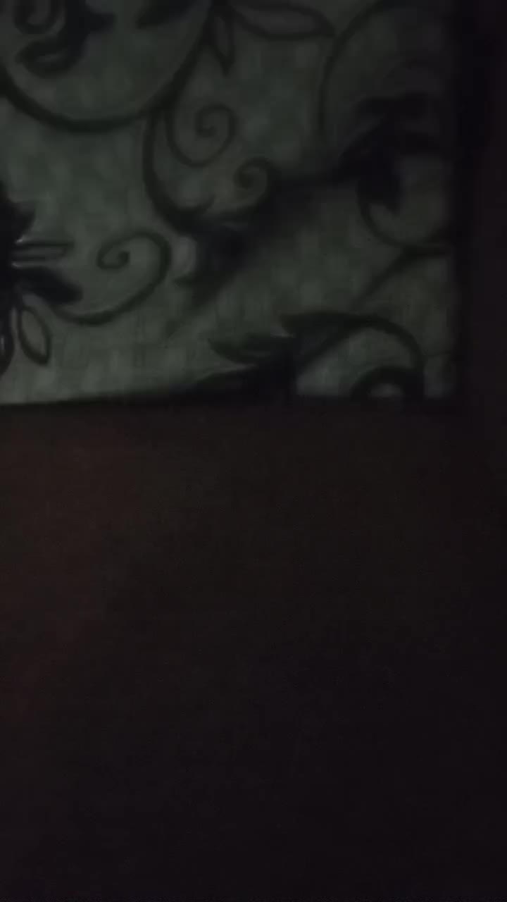 review image 7