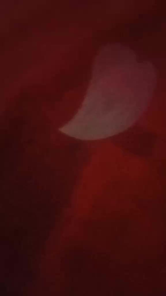 review image 4