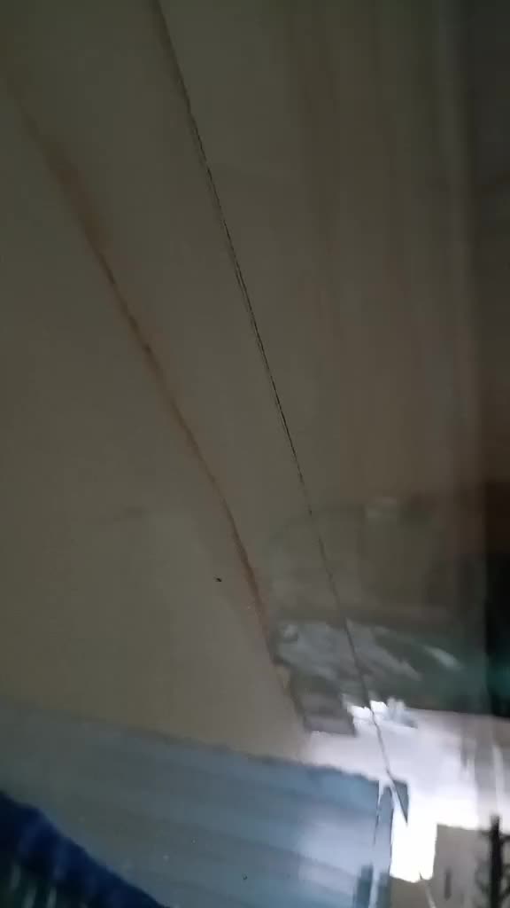 review image 2