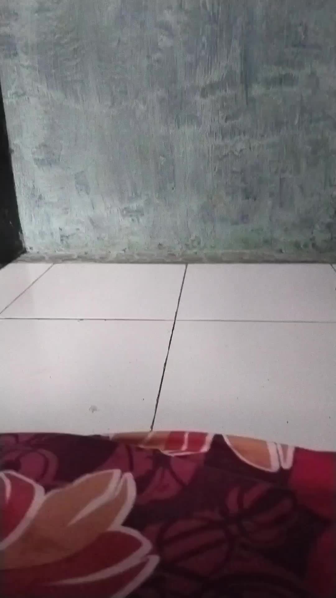 review image 8