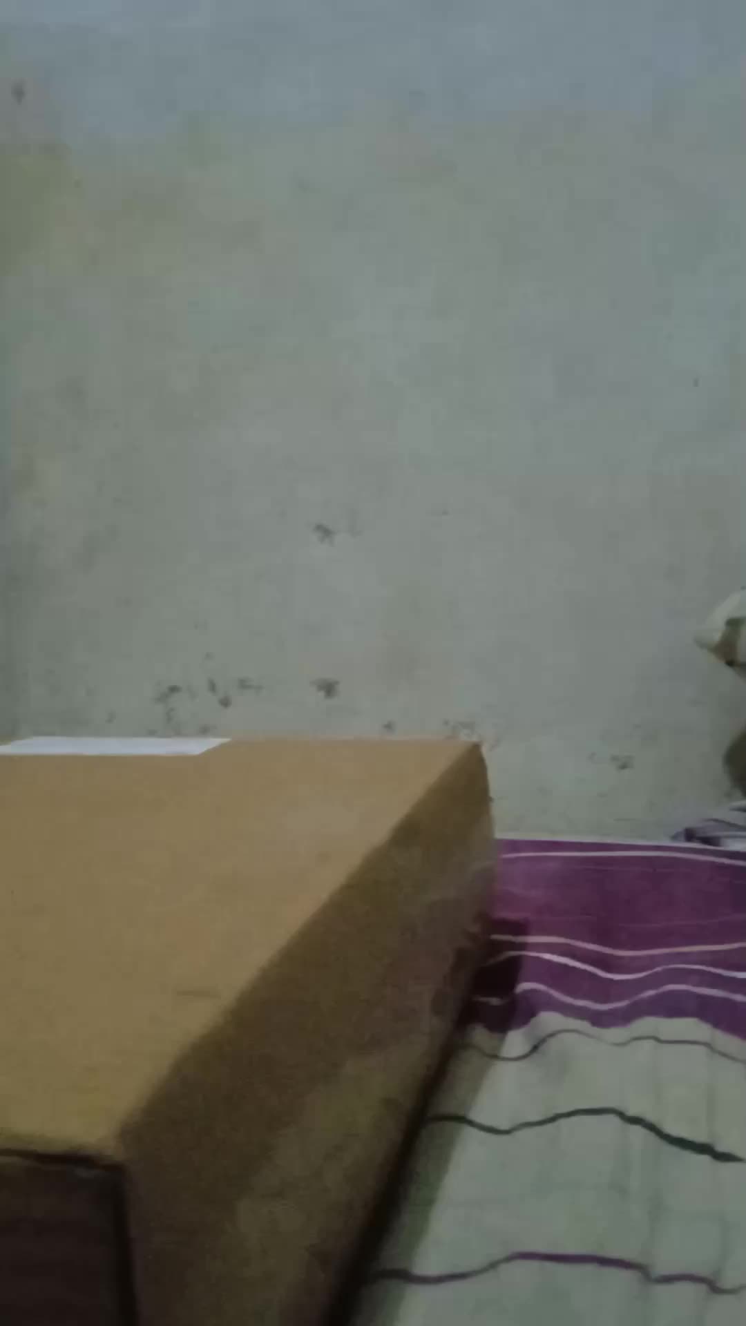 review image 8
