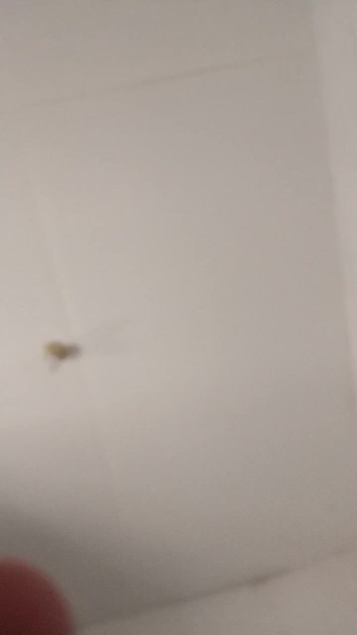 review image 7