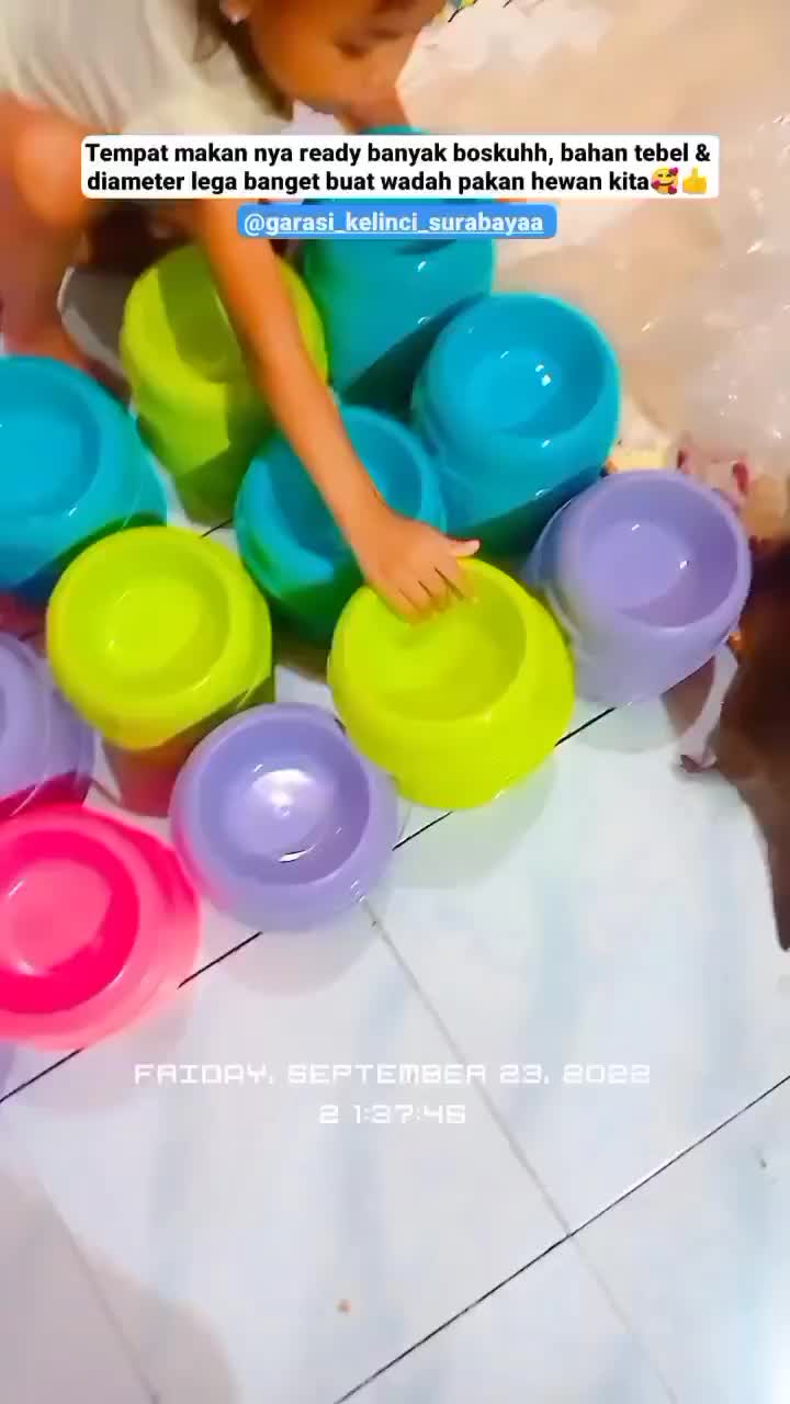 Tempat Makan Kucing Anjing Kelinci Mangkuk Tempat Makan Anjing Tempat Makan Kelinci Tempat Makan Hamster Gerabah Tanah Liat Kelinci Gerabah Kelinci Tempat Makan Musang Kotak Makan Kucing Tempat Minum Kucing Botol Minum Kucing Botol Minum Hamster