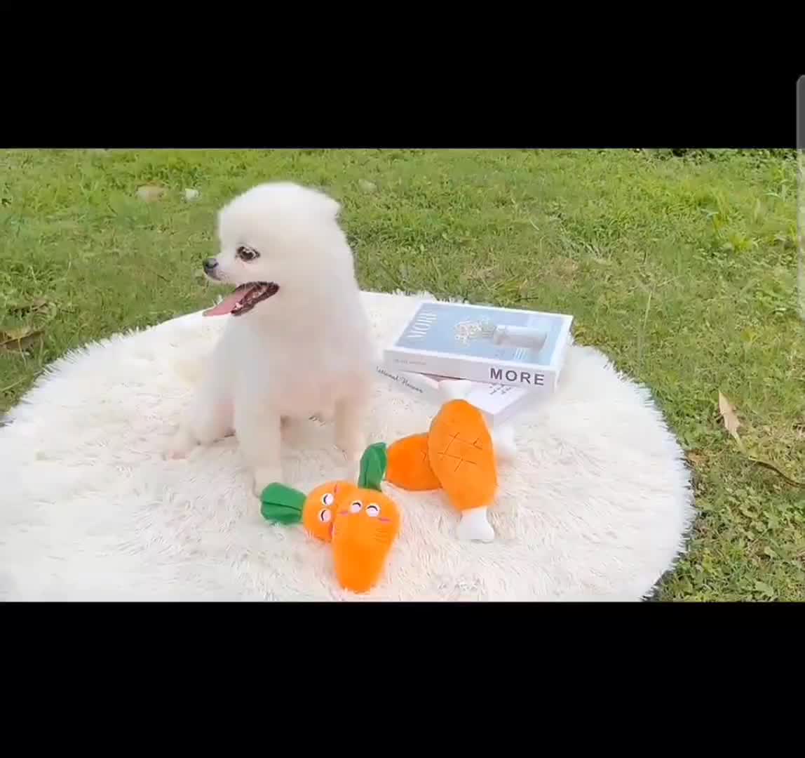 Mainan Gigit Anjing Boneka Anjing Squeaky Dog Bunyi Tastepawsitive