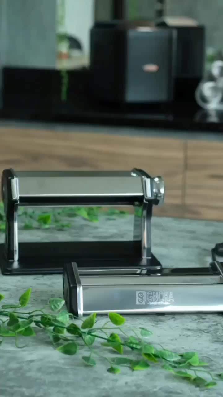 Noodle Maker Manual SIGNORA Gilingan Pastel Mie Kue Molen Cheese Stick Stainless