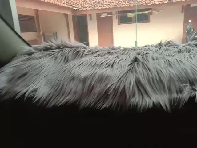 Karpet Bulu Dashboard Mobil Alas Dasboard Mobil Bulu Korea Lembut Panjang Import Size 40x150CM Universal Aksesoris Hiasan Pelindung Dasbord Interior Tidak Mudah Rontok