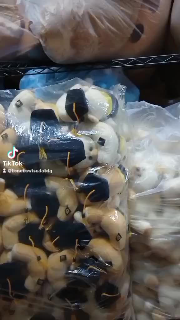 BONEKA TEDDY BEAR WISUDA COCOK KADO DAN HADIAH KELULUSAN ANAK TOYS BERANEKA WARNA Dolls