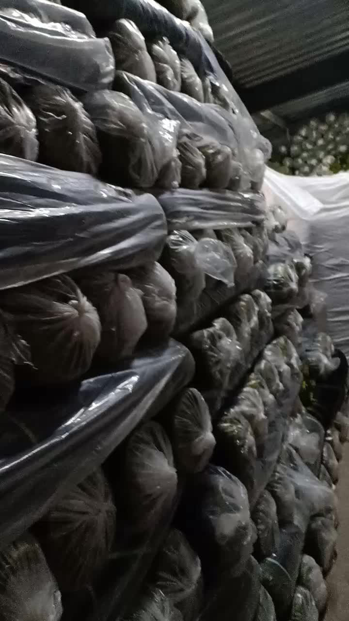 PARANET 75 PERSEN Panjang 5 Meter x Lebar 3 meter ( Paket ) - Tanaman Jaring Paranet