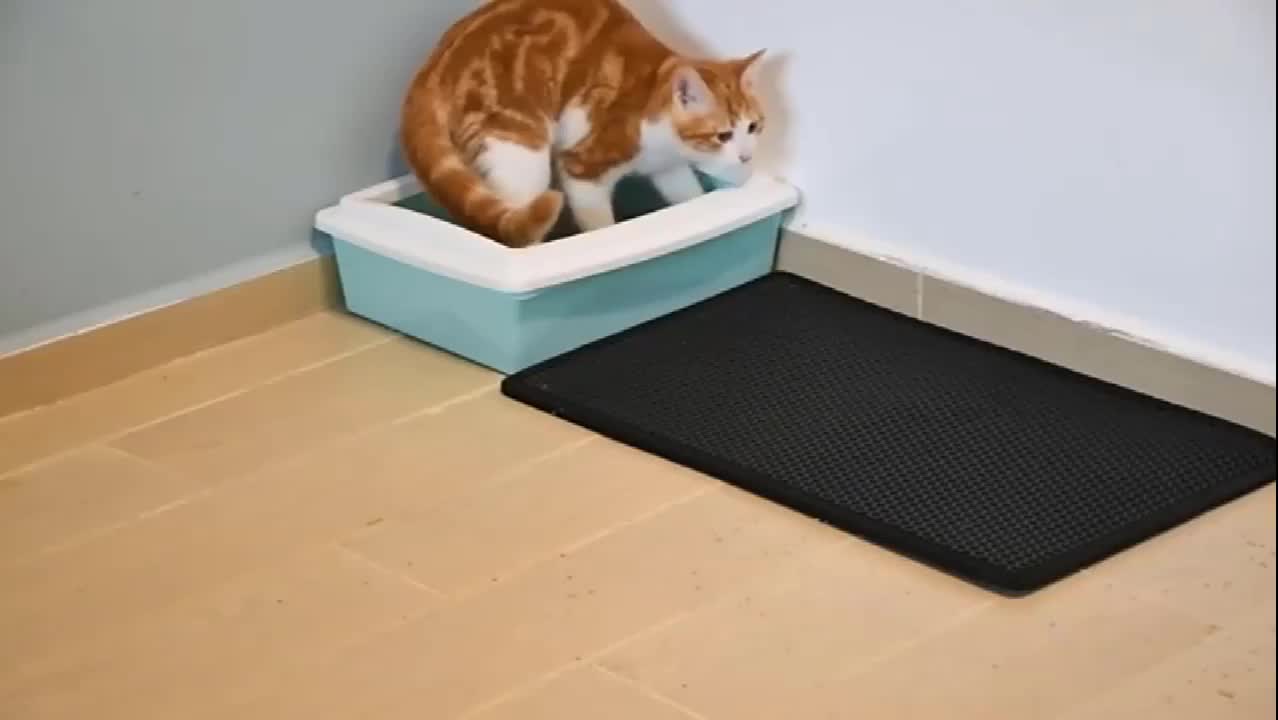 Alas Kucing Pasir Cat Litter Mat Double Layer Pet Kotoran Hewan Waterproof Anti Slip