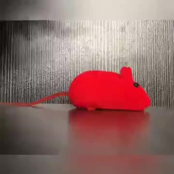 YBL-TIKUS Mainan Hewan Peliharaan Interaktif Mencit Kucing Cat Toys Bisa Bunyi