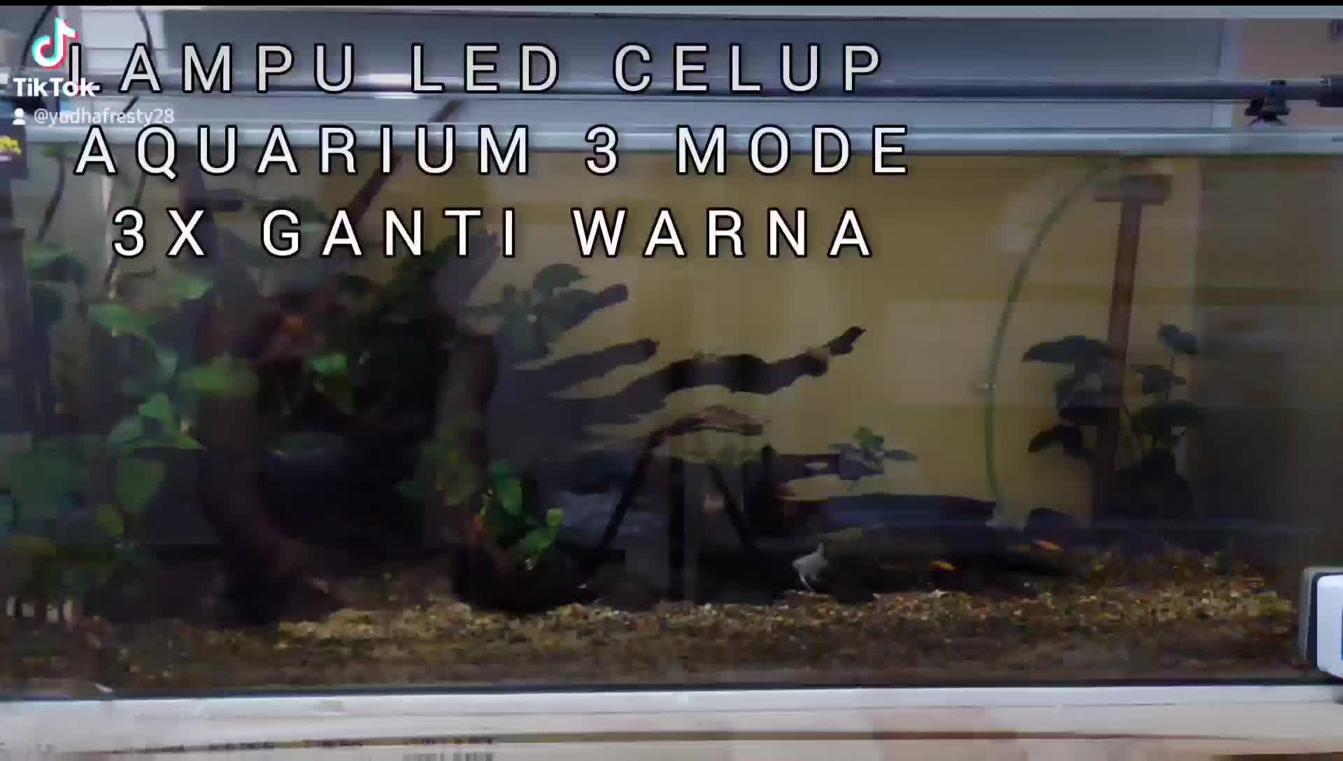 LAMPU CELUP AQUARIUM 3 MODE 3X GANTI WARNA 40cm - 100cm