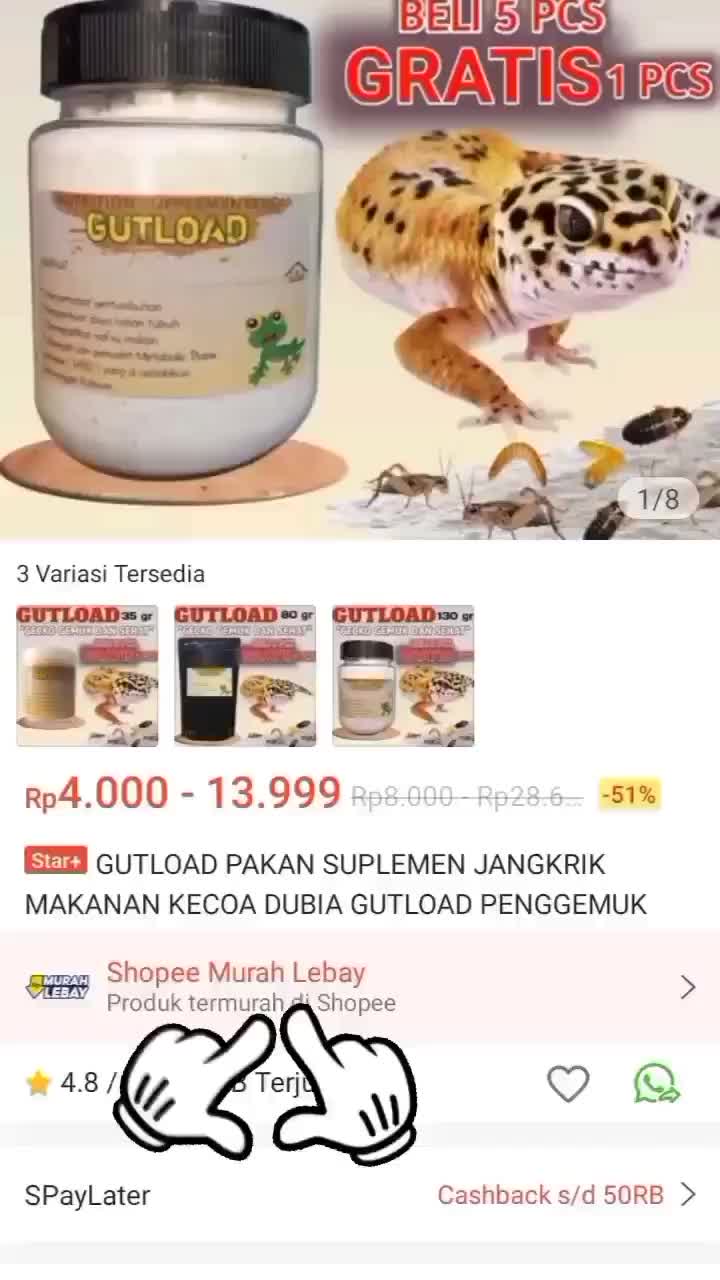 PAKET SUPER HEMAT!! GUTLOAD + KALSIUM GECKO BEARDED DRAGON SUPLEMEN PENGGEMUK DAN CALCIUM UNTUK PERTUMBUHAN HEWAN REPTILE