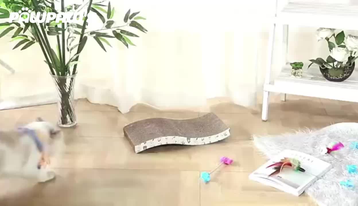 Pawpaw's Mainan Interaktif Tongkat Guncang Tusukan Cocok Untuk Papan Gores Kucing  PP-HAD6063