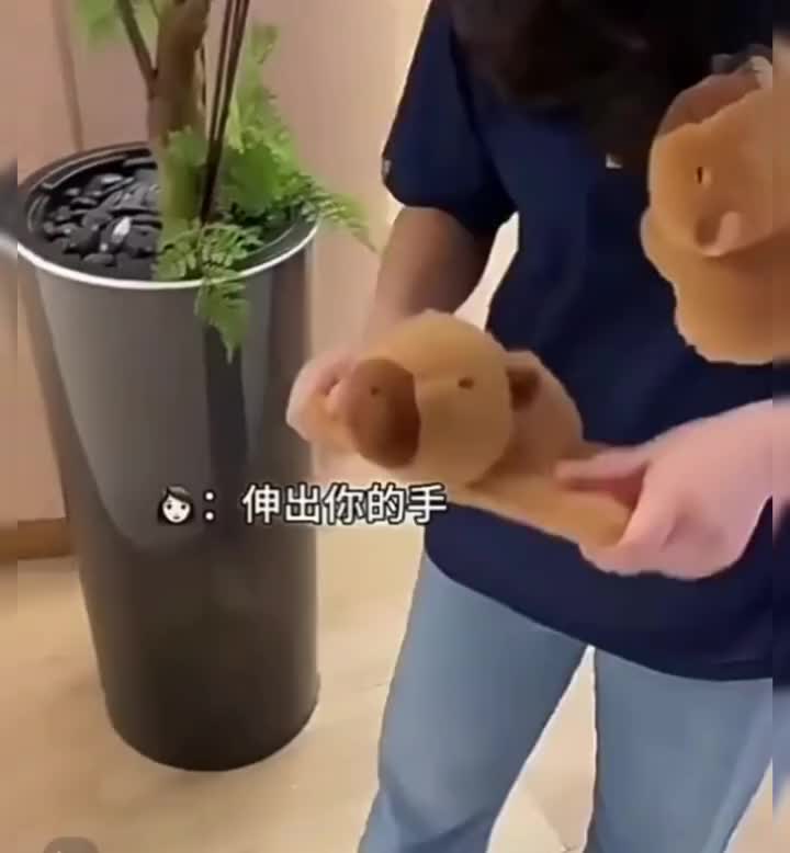 Boneka Capybara Ring Pop Doll /Mainan Boneka Capybara Mainan Mewah Simulasi Boneka Gelang/Lingkaran Snap Circle Capybara Clap Circle Toys/Bulu Lembut Kado Ulang Tahun