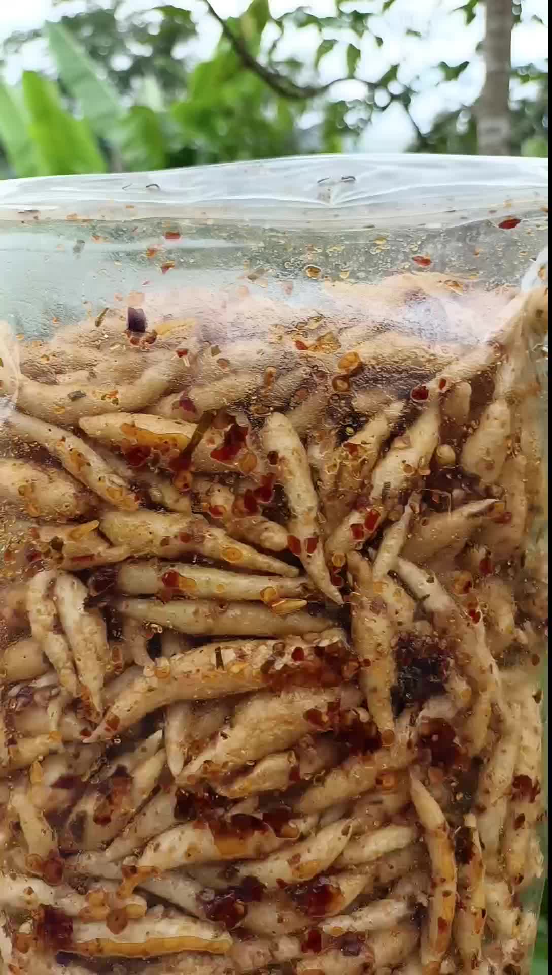 500GRAM - Tiktuk jetruk Pedas daun jeruk pedasnya nyos gurihnya nyoy