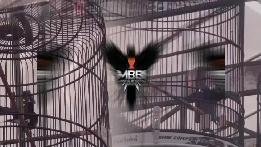 VITAMIN BURUNG MBB POWER JOS