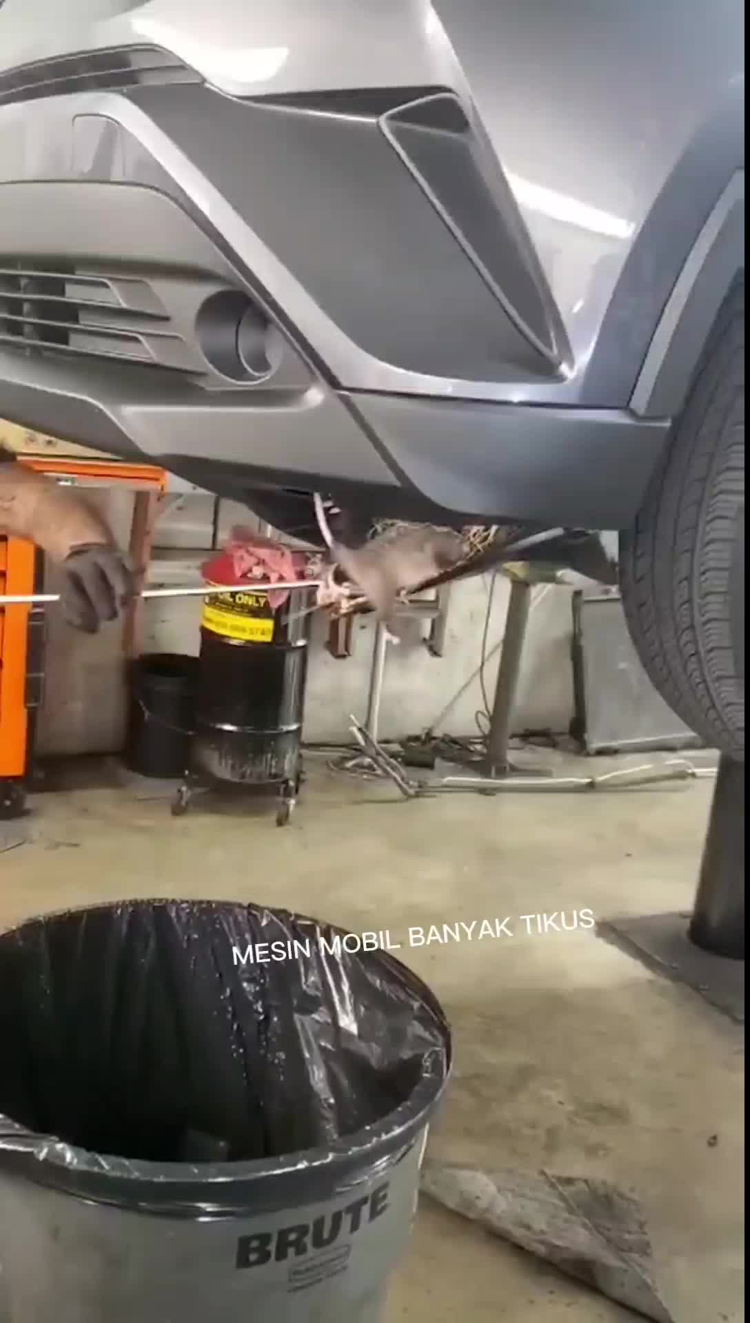 Rajs Spray Pengusir Tikus Ampuh Anti Tikus Mobil dan Ruangan Rumah Rajs Aromatic spray Formula Khusus Aman untuk Ruangan 250ml