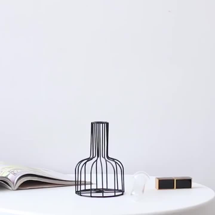 Nordic Golden Glass Vas Besi Hidroponik Tanaman/VAS BESI GOLD VAS NORDIC GOLD VAS BUNGA MEJA Bunga Minimalis Aesthetic