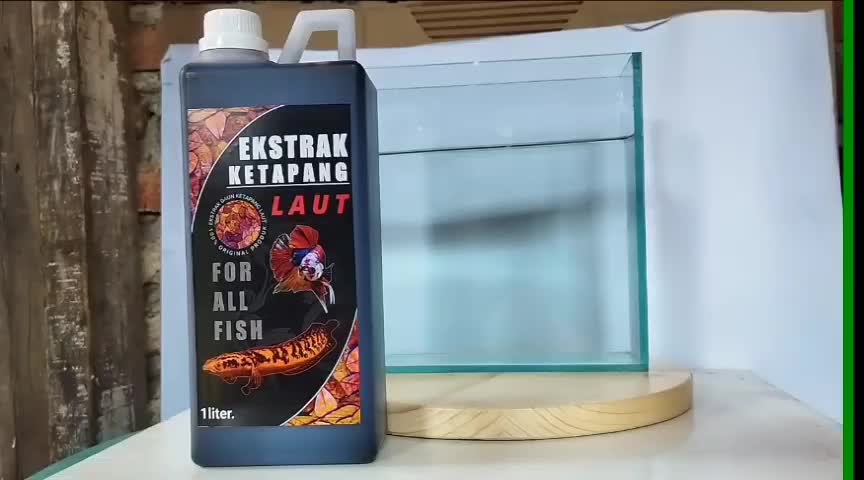 Ekstrak Ketapang Laut  Super Pekat 1 liter Channa Cupang Semua Jenis Ikan