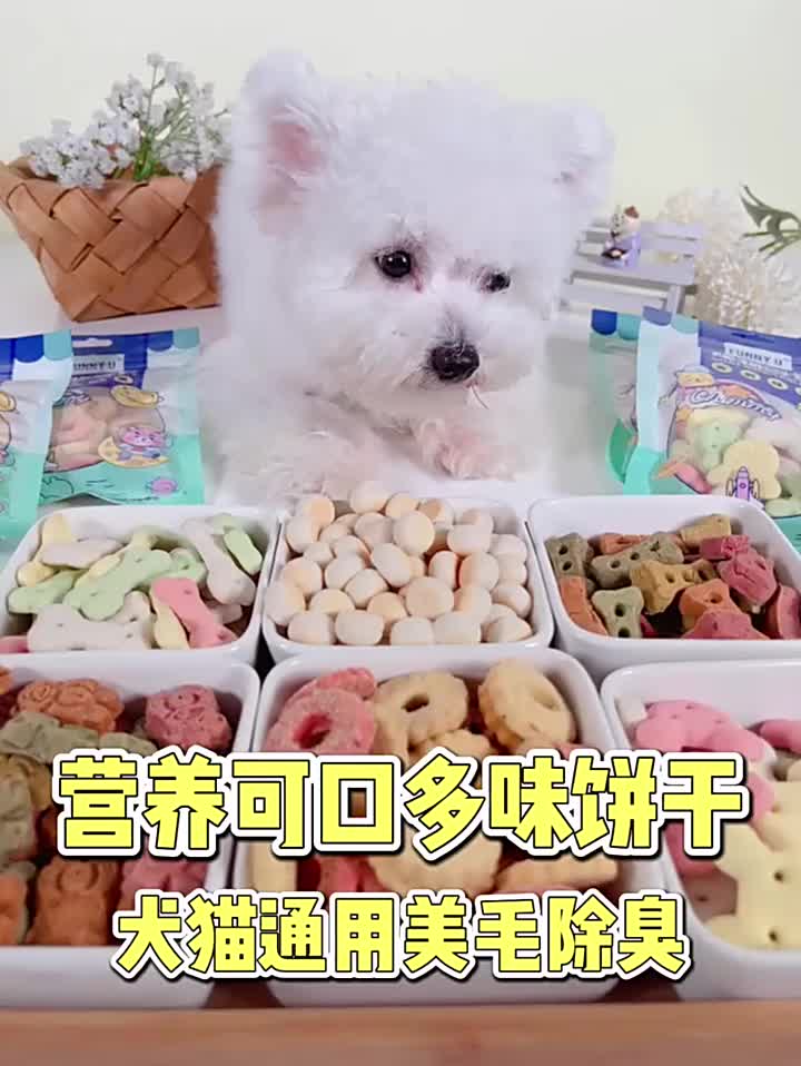 Cemilan Anjing Snack Kucing Biskuit Kucing Snack Anjing Sehat Dog Treats Anjing 100g