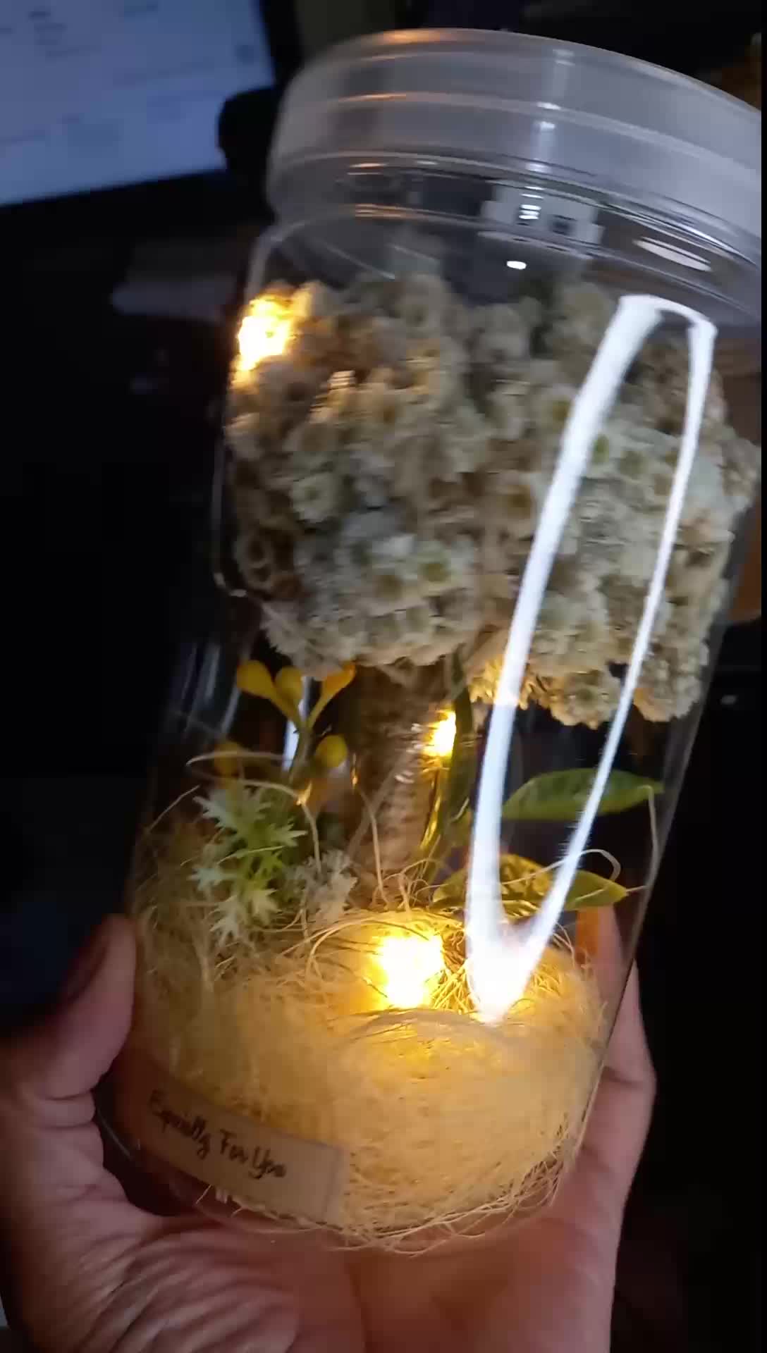 Kado Unik Lampu Edlwsis LED | Tabung Kaca + Baterai sudah free ucapan
