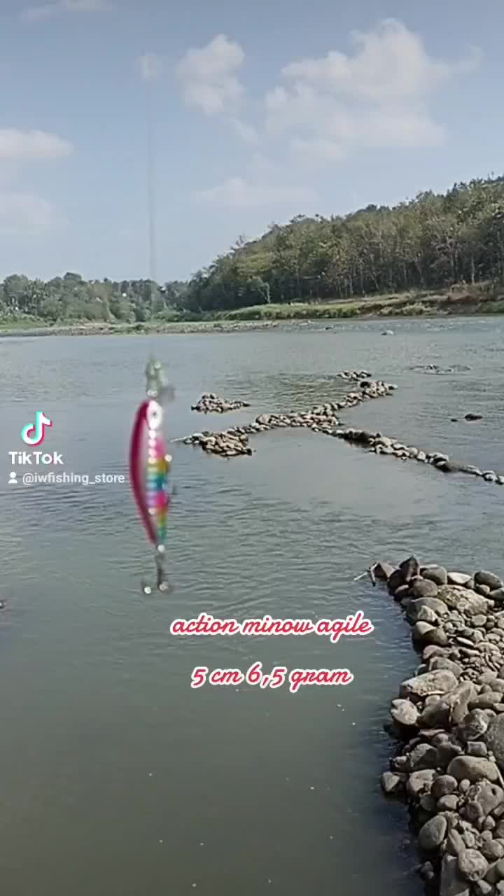 Lure minow 5 cm 6,5 gram sinking tipe agile umpan pancing casting Ikan