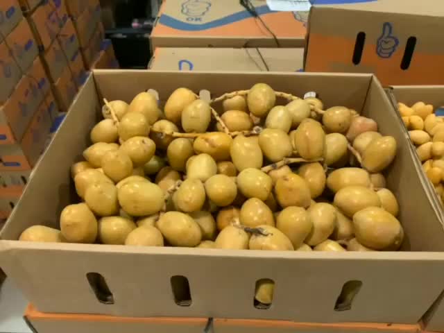 Kurma Muda Merah, Kuning, Hijau Progam Hamil - Kurma Muda Berkualitas Tinggi dengan Rasa Manis dan Krenyes2 - Makanan