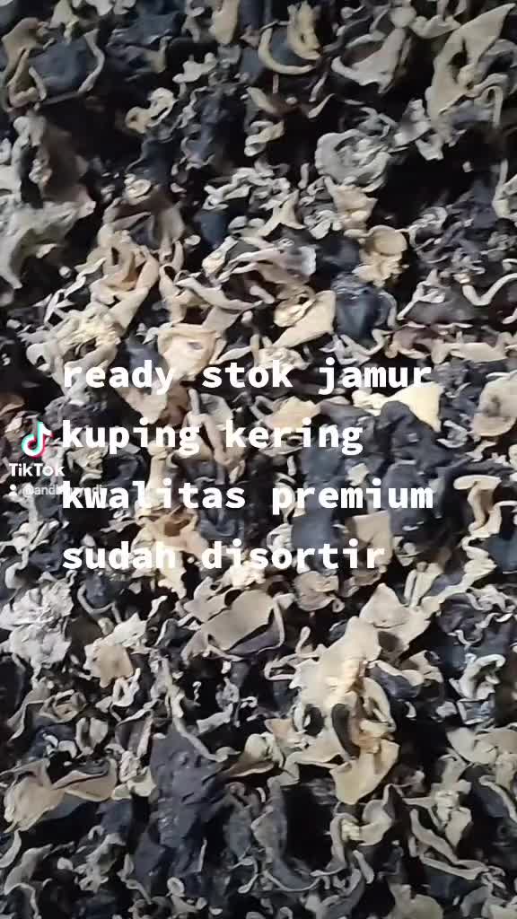 jamur kuping kering 500gram
