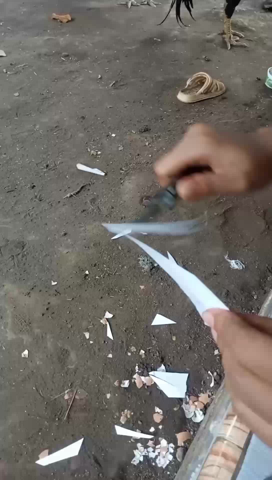 pisau grafting stek okulasi gagang panjang